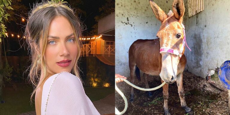 O burro Einstein é o mais novo integrante da família de Giovanna Ewbank (foto: Reprodução)