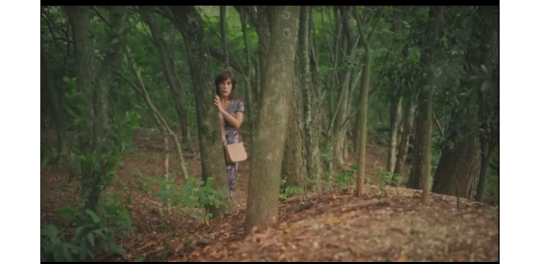 Irene fica de tocaia na casa de Jonatas esperando o momento certo para sequestrar Danielzinho em Terra e Paixão