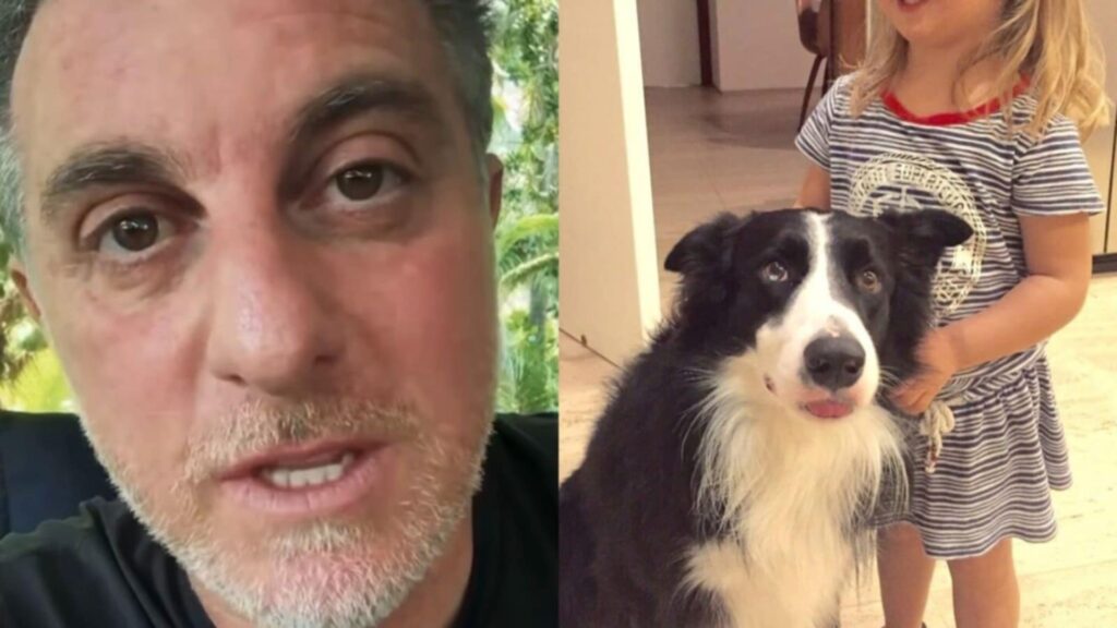 Montagem de fotos de Luciano Huck e Ziggy