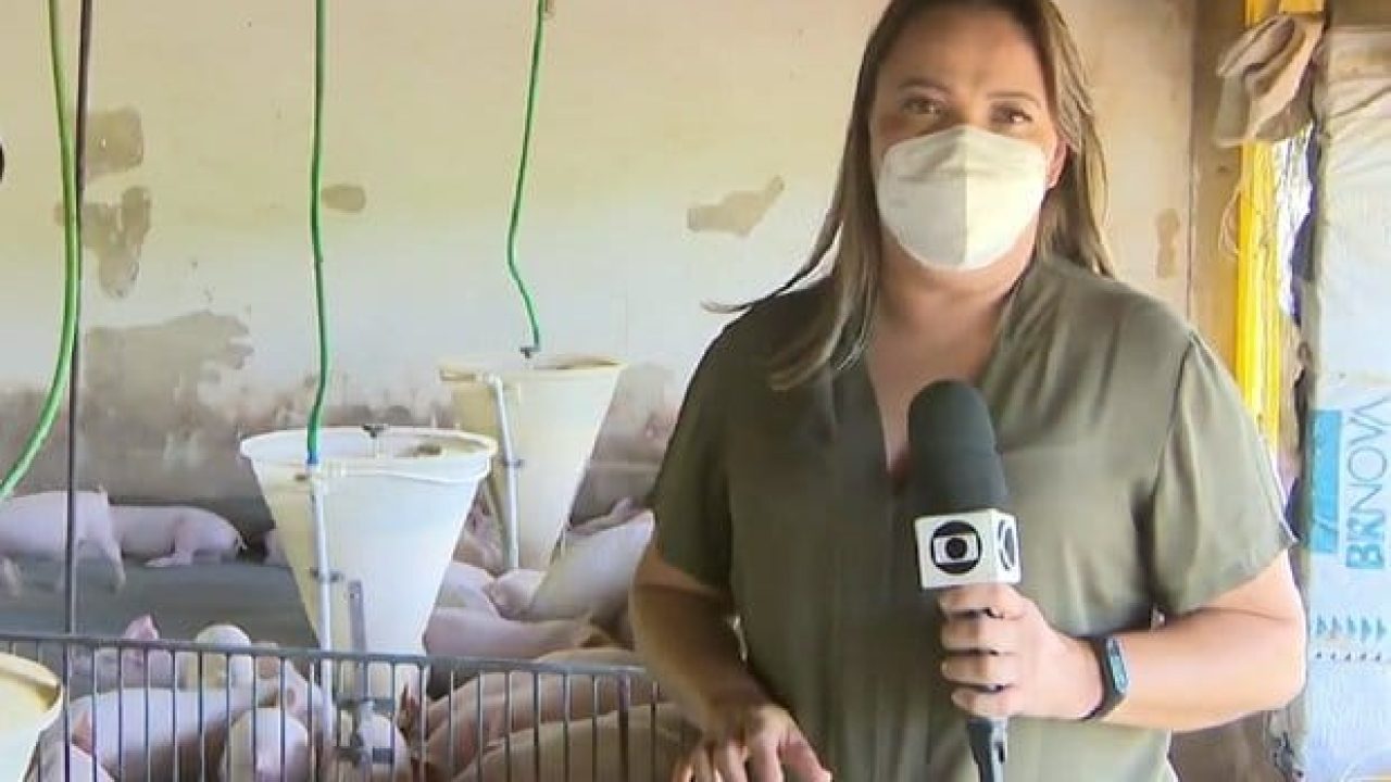 Imagem com foto da repórter Aline Fonseca durante gravação do Globo Rural