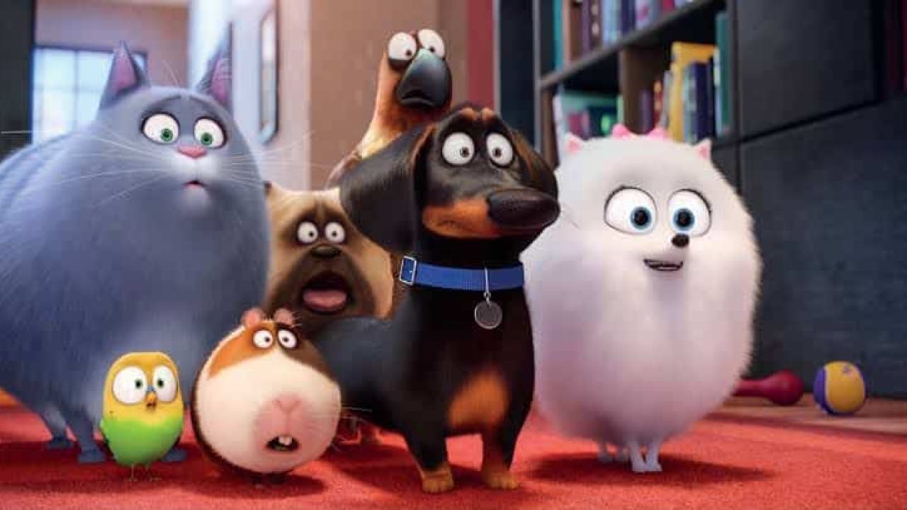 Pets - A Vida Secreta dos Bichos estará em cartaz no Cine Espetacular