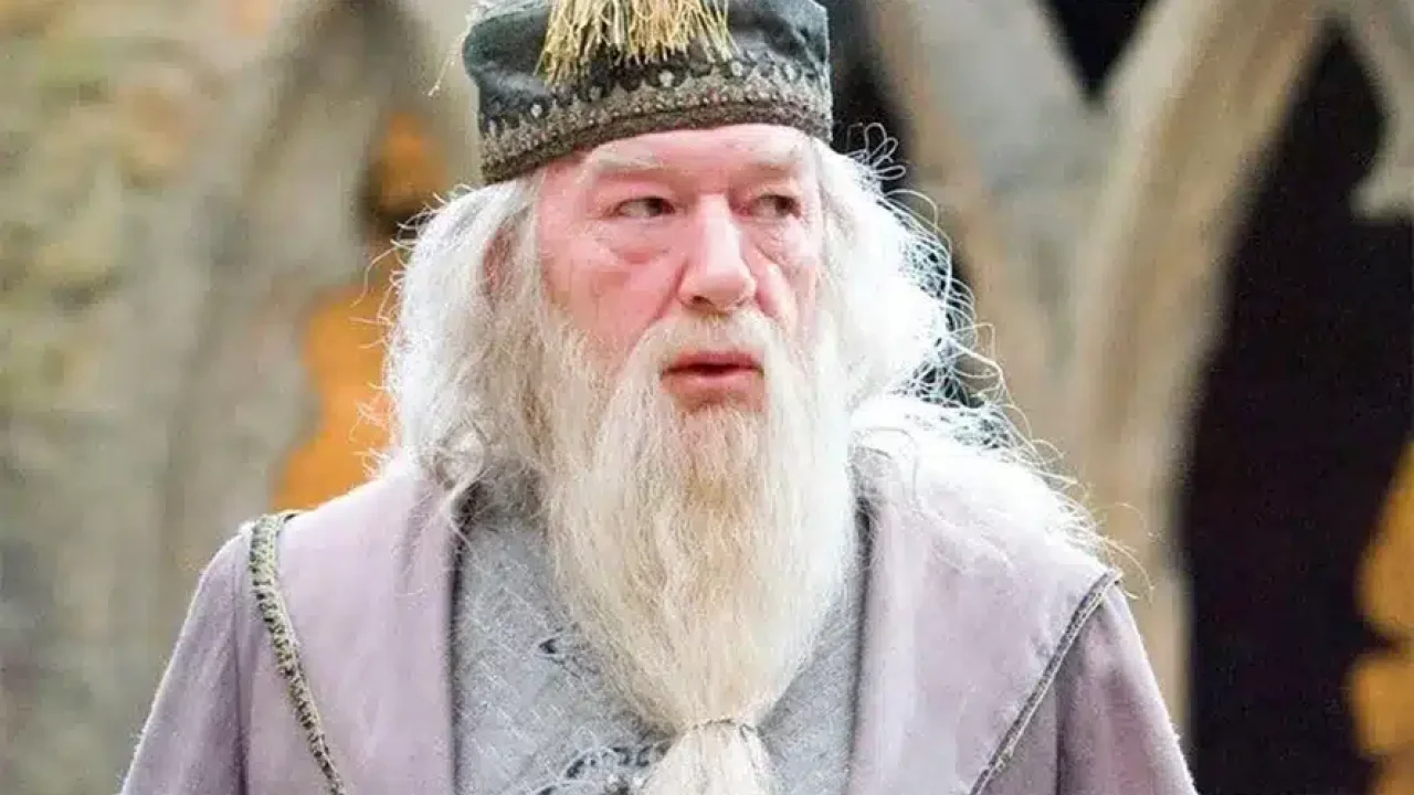 Foto Dumbledore de Harry Potter