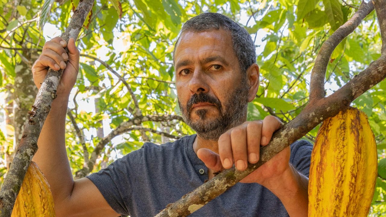 Marcos Palmeira como o personagem José Inocêncio de Renascer em um pé de cacau