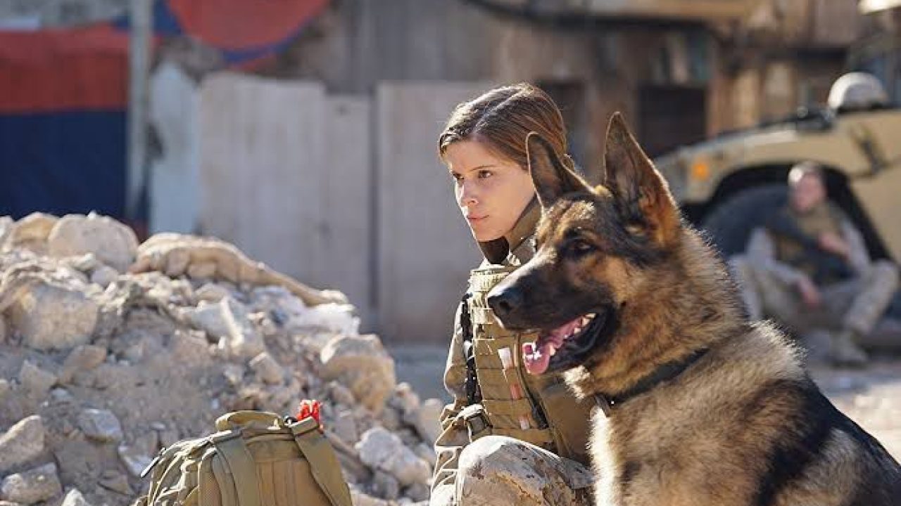 Globo exibirá Megan Leavey na Sessão da Tarde