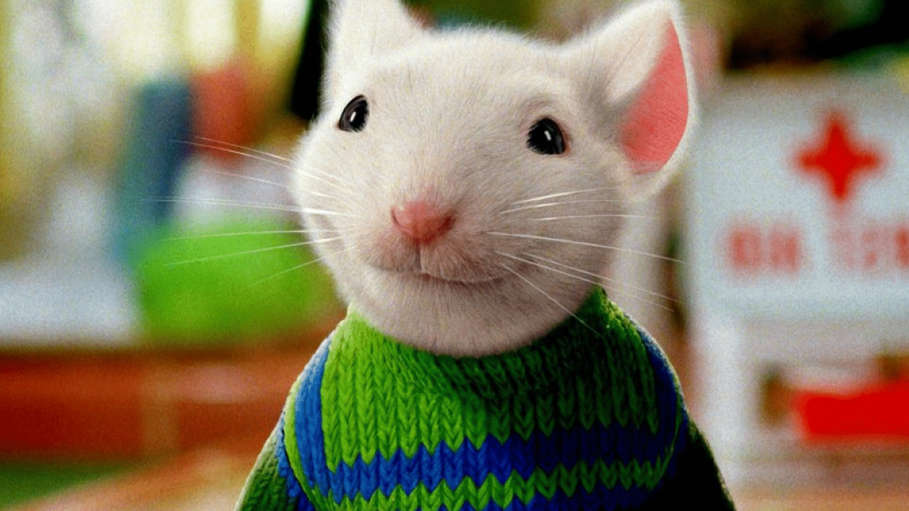 O Pequeno Stuart Little é o filme que vai passar na Sessão de Sábado no primeiro dia de 2022 (foto: Reprodução)