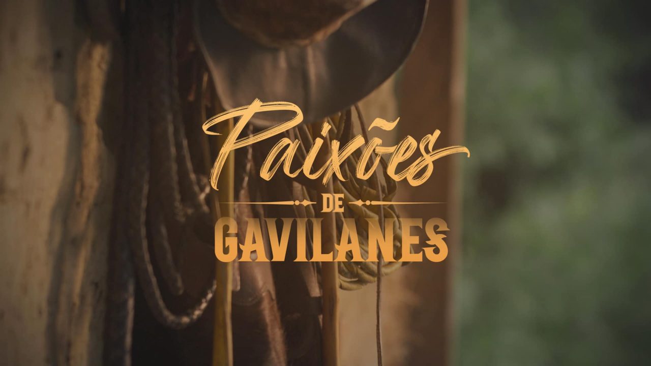 Imagem com logotipo da novela Paixões de Gavilanes