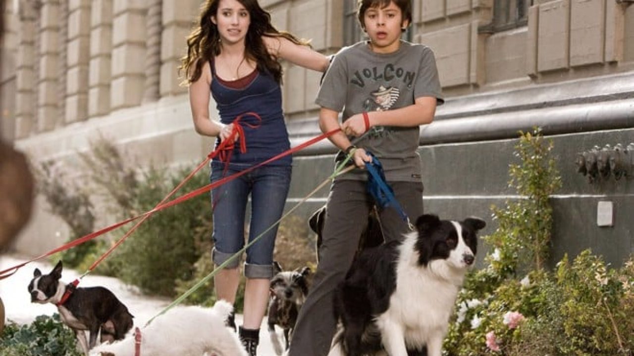 Um Hotel Bom Pra Cachorro é o filme que vai passar no Cinema de Graça deste domingo (30)