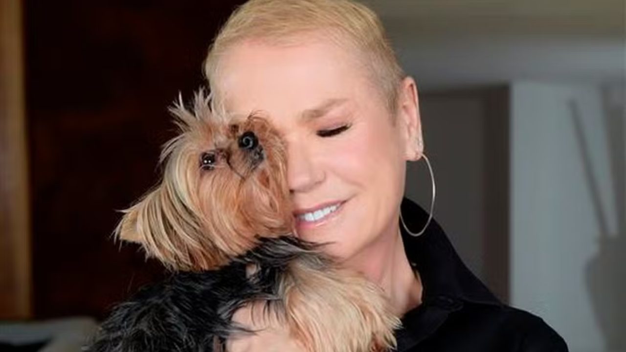 Foto de Xuxa com cachorrinho